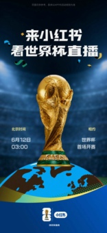 小红书完整版下载 海量好物随心购,生活分享轻松获取最新版